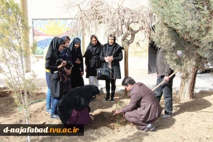 کاشت نهال درروز درختکاری با حضور ریاست و،معاونین ودانشجویان باشعار هردانشجو یک درخت 4