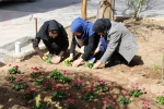 کاشت نهال درروز درختکاری با حضور ریاست و،معاونین ودانشجویان باشعار هردانشجو یک درخت 7