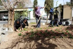 کاشت نهال درروز درختکاری با حضور ریاست و،معاونین ودانشجویان باشعار هردانشجو یک درخت 9