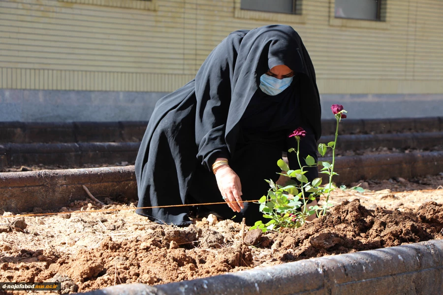همزمان با هفتة درختکاری در آموزشکده فنی و حرفه ای دختران نجف آباد برگزار گردید 5