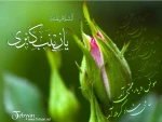 تبریک میلاد حضرت زینب کبری و روز پرستار
