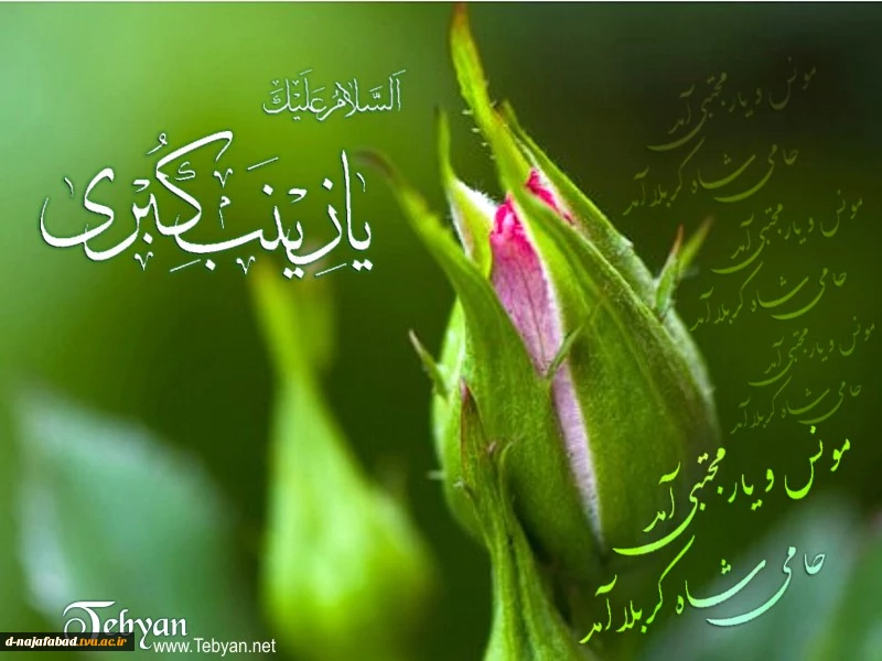 تبریک میلاد حضرت زینب کبری و روز پرستار
