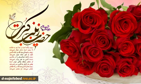تبریک میلاد حضرت زینب کبری(س) و روز پرستار