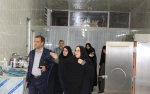 بازدیدمعاون استاندار و فرماندار ویژه شهرستان از آموزشکده فنی وحرفه ای دختران نجف آباد   11