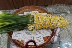 مراسم گرامیداشت روز دانشجو در آموزشکده دختران نجف آباد  برگزار شد 2