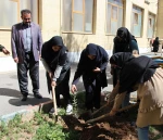 آیین روز درختکاری و کاشت نهال درمحوطه آموزشکده دختران نجف آباد  برگزار شد 6