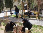 آیین روز درختکاری و کاشت نهال درمحوطه آموزشکده دختران نجف آباد  برگزار شد 10
