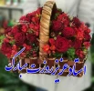 استاد عزیز و ارجمند روزتان مبارک 2