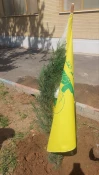 کاشت_درخت_مقاومت_ایستادگی_همدردی  3