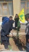 کاشت_درخت_مقاومت_ایستادگی_همدردی  5