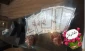 تجلیل از اساتید وهمکاران آموزشکده ملی مهارت دختران نجف آباد