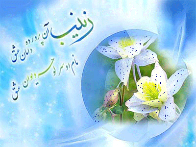 تبریک میلاد حضرت زینب کبری(س) و روز پرستار