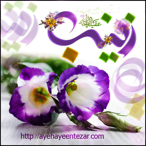 تبریک میلاد حضرت زینب کبری(س) و روز پرستار